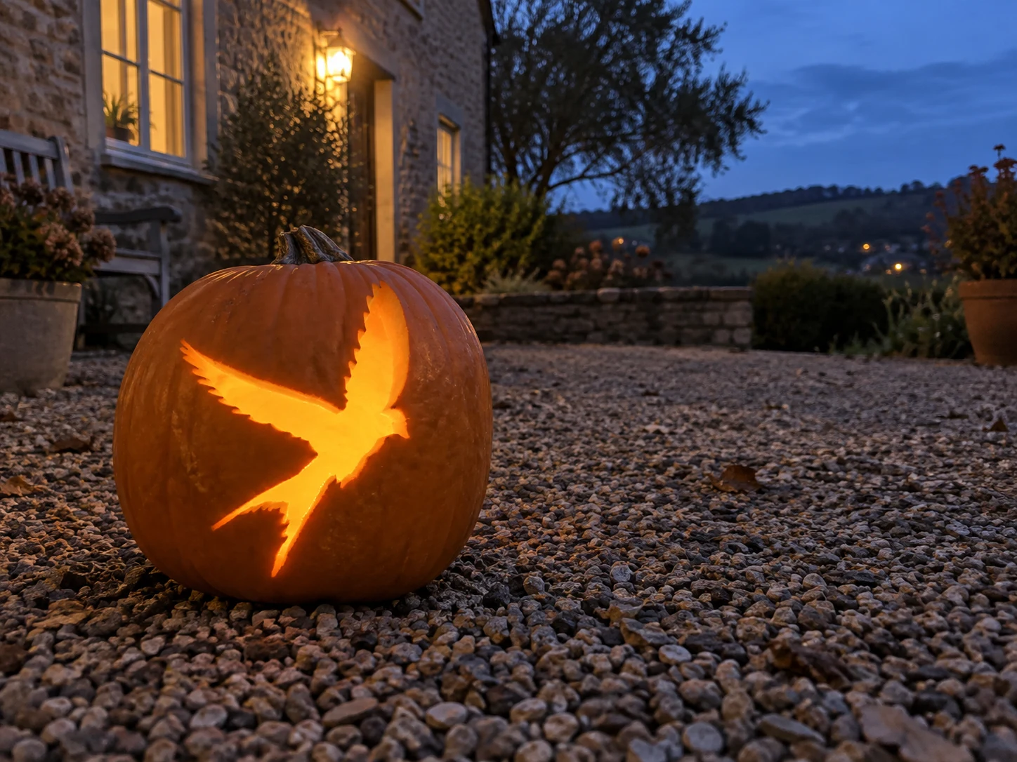 Swift in Flight Pumpkin Stencil preview